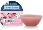 Yankee Candle Kirschbl&uuml;tenwachs 22 G