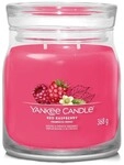 Rote Himbeere &ndash; Yankee Candle Signature &ndash; Mittlere Kerze Mit Zwei Dochten