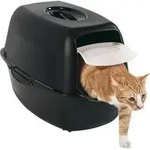 Rotho Bailey Cat Box De Sand Mit Deckel Schwarz