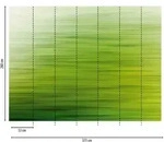A.s.creations - A.s. Creation Fototapete Livingwalls The Wall 382611 Ein Motiv Pro