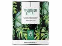 Naturtreu Grünes Superfood Pulver - Pflanzenritual - NATURTREU® Mineralstoffe...