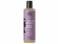 Urtekram Maximum Shine Shampoo 250 ml Damen