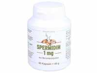SinoPlaSan SPERMIDIN 1 mg Kapseln Mineralstoffe