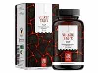 Naturtreu MSM Komplex mit Vitamin C - Vulkanstark - NATURTREU® Gelenk- &