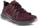 Ecco Terracruise II GTX Women's D/EU36 figue/figue