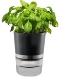 GEFU Kr&auml;utertopf BOTANICO