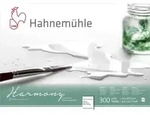 Hahnem&uuml;hle Harmony Aquarell A 4 satiniert 12 Blatt 300 g