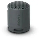 Sony SRSXB100B