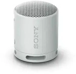 Sony SRSXB100H