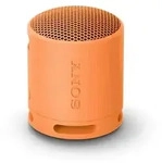 Sony SRSXB100D