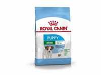 ROYAL CANIN SHN MINI Puppy Hundetrockenfutter 800 Gramm