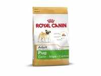 ROYAL CANIN Pug Adult 3kg