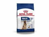 ROYAL CANIN SHN MAXI Adult (5+) Hundetrockenfutter (4 kg), Grundpreis: &euro; 6,74 /
