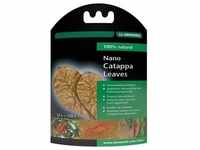 DENNERLE Nano Catappa Leaves