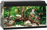 JUWEL Aquarium 13j25560, JUWEL Aquarium Primo 60 2.0 schwarz