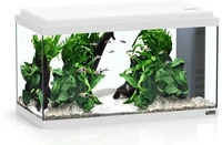 Aquatlantis 16a09140, aquatlantis Advance 60 LED Set Aquarium Set wei&szlig;