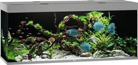 JUWEL Aquarium 13j5650, JUWEL Aquarium JUWEL Rio 450 LED Aquarium Set grau