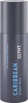 GLYNT 13141, GLYNT CARIBBEAN Spray Wax leichter Halt 50 ml