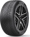 MOMO NORTH POLE W20 EUROPA 205/55R16 94V XL BSW Winterreifen, Nasshaftung: C