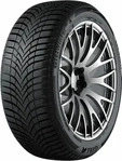 GITI GITIWINTER W2 225/40R19 93H XL BSW Winterreifen, Nasshaftung: A