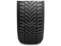 CST MEDALLION ALL SEASON ACP1 165/65R14 79T BSW PKW, Rollwiderstand: D,