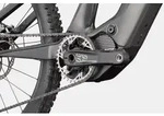 Cannondale Moterra SL 1 Raw