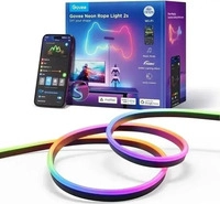 Govee Neon Rope Strip Light 2s - 4 M Black