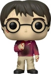 Funko Pop Hp: Hp Anniversary- Harry W/the Stone