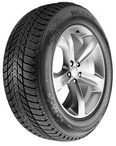 NEXEN Winterreifen [] 205/55R16 91T - Winguard Ice Plus 16028NXK 205/55 R16