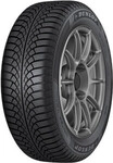 DUNLOP REIFEN Winterreifen 581306 225/45 R17 91H