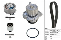 INA Wasserpumpe + Zahnriemensatz 530020133 f&uuml;r Ford Skoda VW (FAW)
