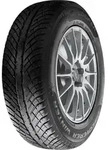 COOPER TIRES Winterreifen 205/60 R16 96H XL - Discoverer Winter 591812