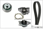 INA Wasserpumpe + Zahnriemensatz 530025831 f&uuml;r Peugeot LANCIA