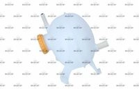 NRF Ausgleichsbeh&auml;lter, K&uuml;hlmittel 454084 f&uuml;r Vaughall GM CHEVROLET