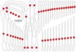 KS TOOLS Schaumstoffeinlage, Sortimentskasten 811005197