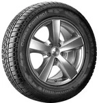 SAVA Sommerreifen [] 195/65R15 95T - Perfecta 530199