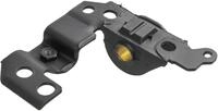 LEMF&Ouml;RDER Lagerung, Lenker 4458501 hinten f&uuml;r Fiat