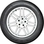 BRIDGESTONE Ganzjahresreifen 215/50R17 95H - Weather Control A005 Evo 21765 215/50