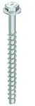 SS 12,0 x 60, Sechskantkopf mit Scheibe, A2K, 25 St.