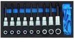 1500 CT1-ITX 19 LKP Satz Schraubendrehereins&auml;tze 1/2" in Check-Tool-Modul - schwarz
