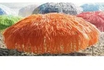 Hawaii - Sonnenschirm mit Fransen orange