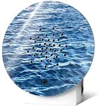 Oceanbox Wellen