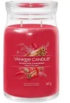 Sparkling Cinnamon Signature Jar 567g 2-Docht