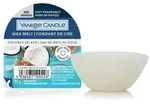 Coconut Splash Wachsmelt 22g