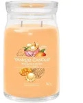 Mango Ice Cream Signature Large Jar 567g 2-Docht