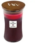 Sun Ripened Berries 610g