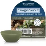 Silver Sage & Pine 22g