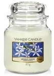 Midnight Jasmine 411g
