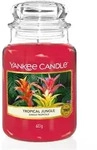 Tropical Jungle 623g