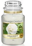 Camellia Blossom 623g